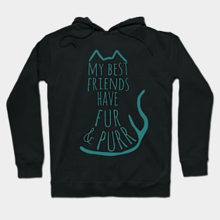 my best friend have fur and purr Hoodie